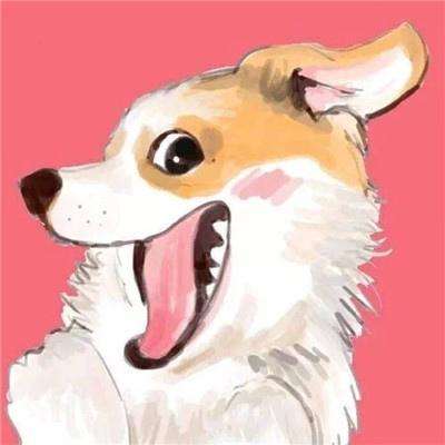 多乐保皇手机版免费下载