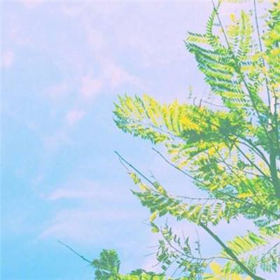 半仙录手游下载